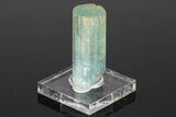 Bi-Colored Aquamarine Crystal - Transbaikalia, Russia #175644-2